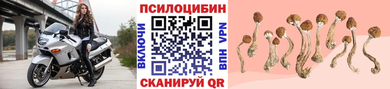 Псилоцибиновые грибы мухоморы  Суоярви 